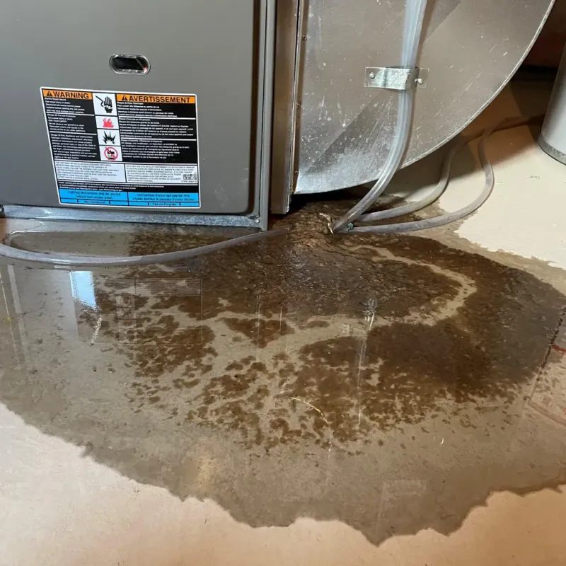 Appliance Leak Cleanup in Milford, WI